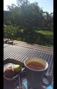 Un moment de nostalgie de fin d'été, un oolong à la figue dégusté avec les dernières figues de mon jardin.