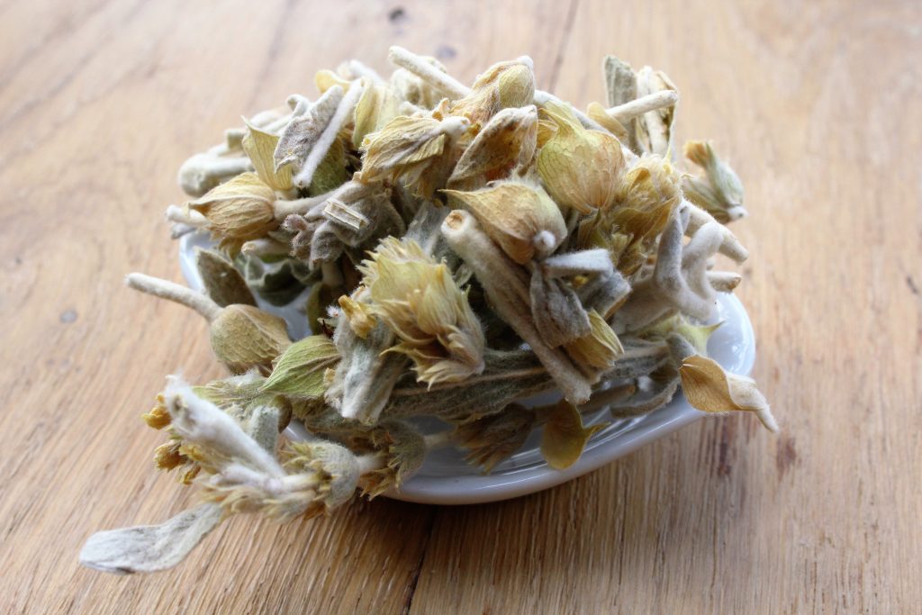 Mountain tea, thé des montagnes grec